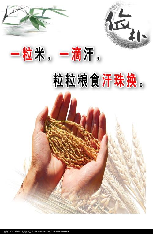 办理怀俄明州地址证明